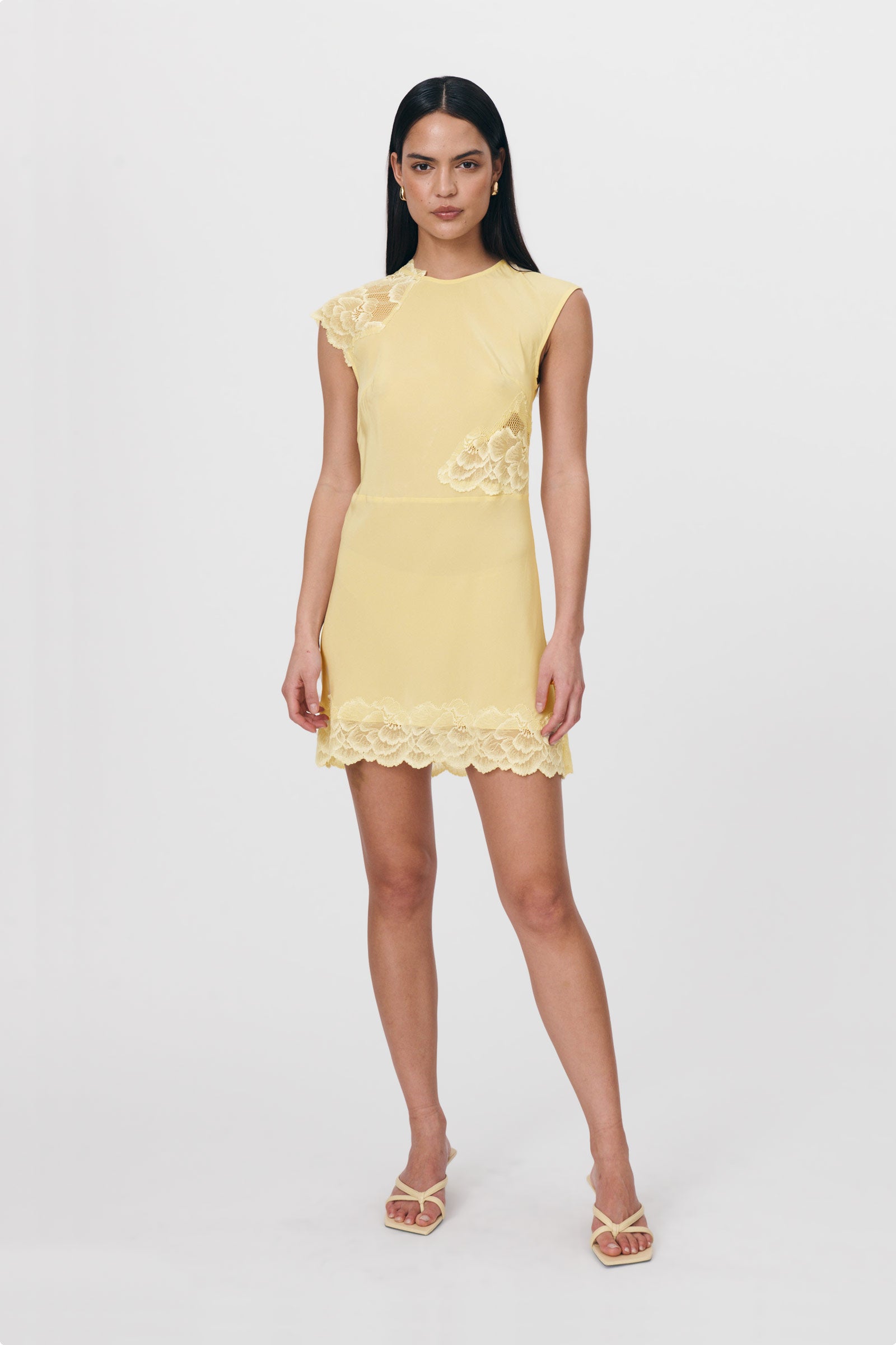 Lily Silk Lace Mini Dress