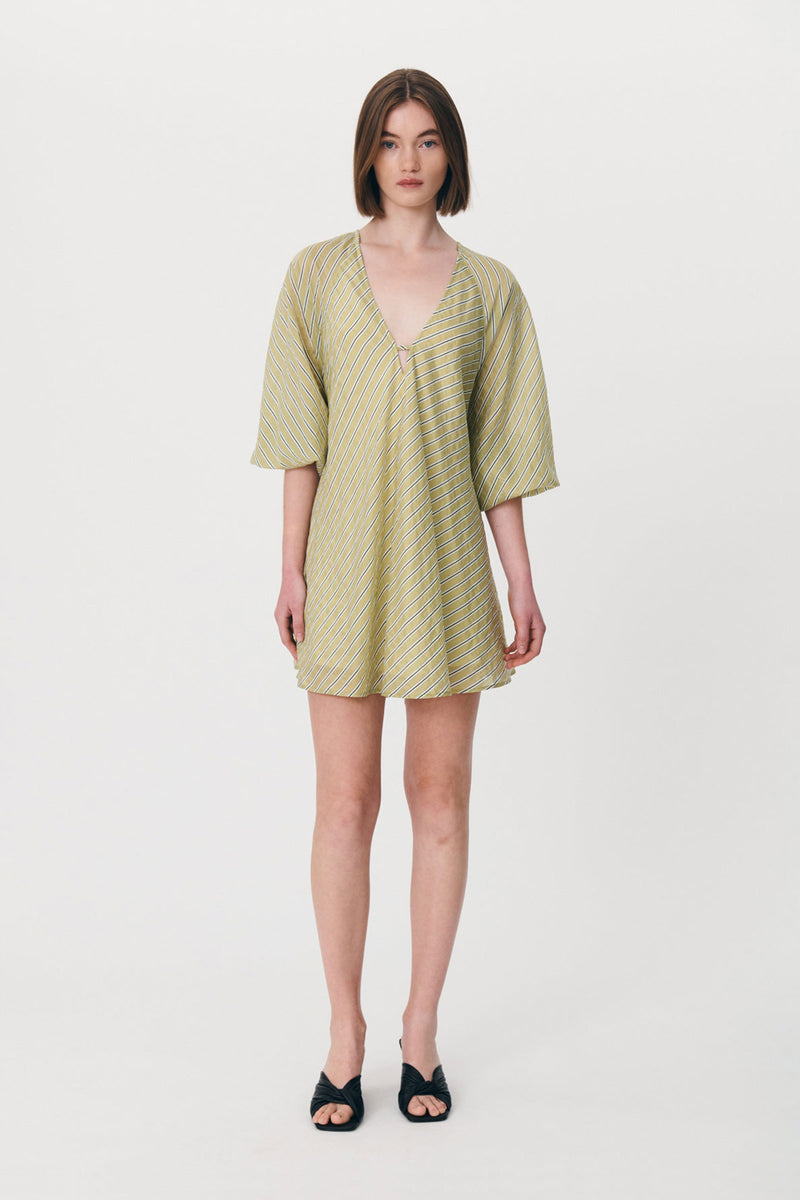 Amelia Stripe Mini Dress