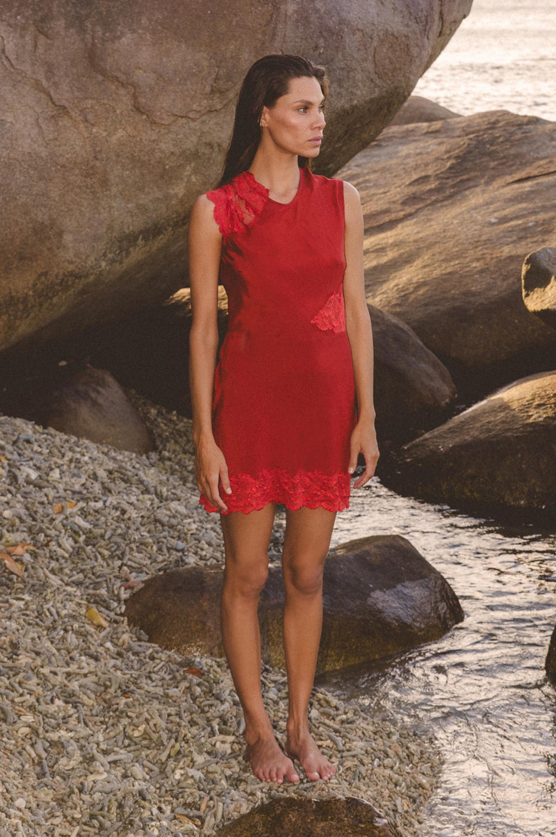 Lily Silk Lace Mini Dress