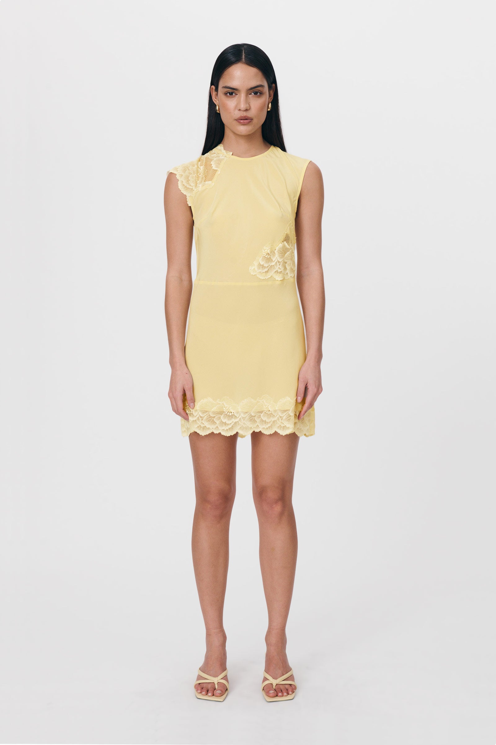 Lily Silk Lace Mini Dress