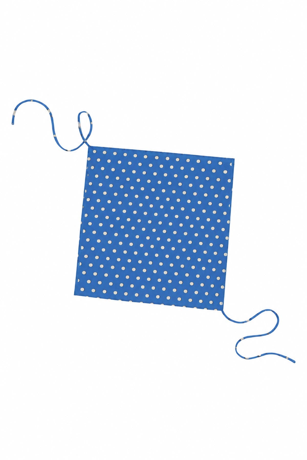 Frannie Silk Belt Scarf