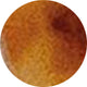 L'Homme Sunglasses Amber Tort colour swatch